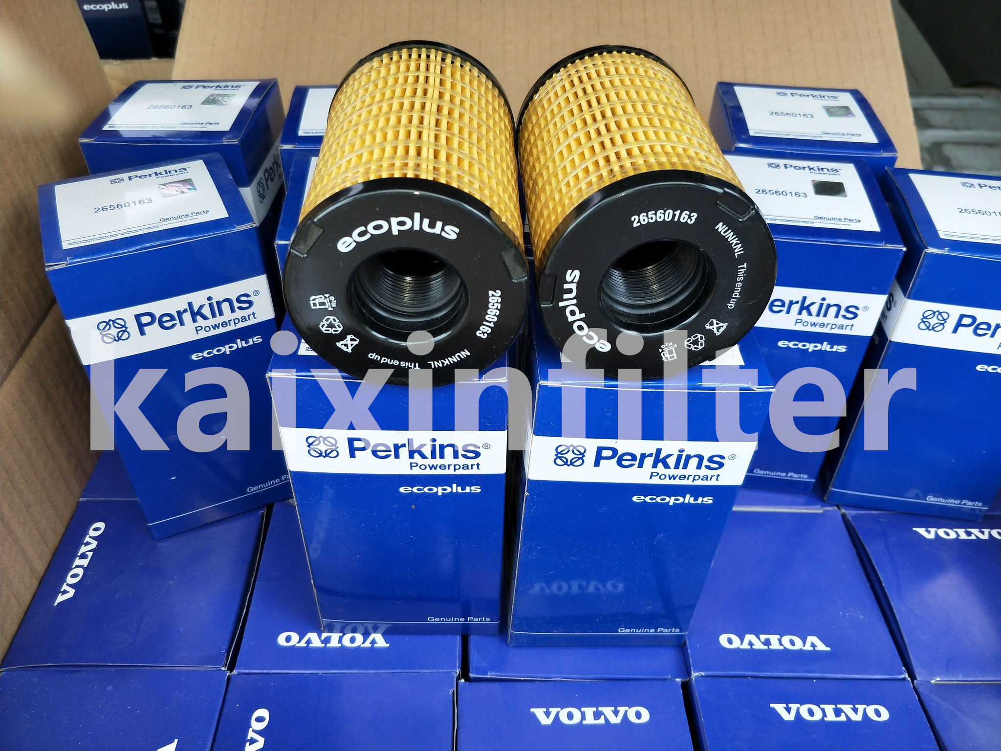 26560163 Perkins Fuel Filter for Engine Protection