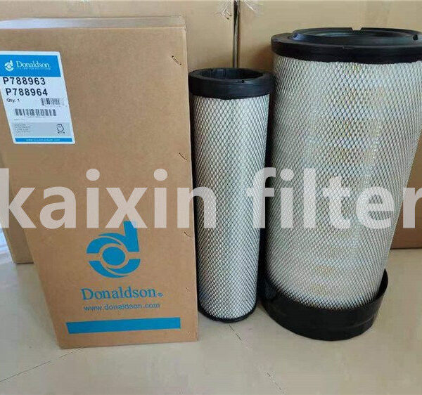 Donaldson P788963 Reusable Air Filter for Eco-Friendly Use