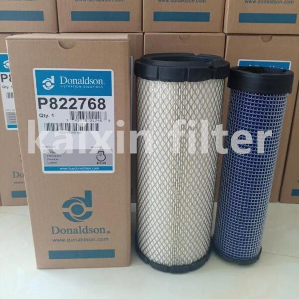 Donaldson P822768 Weather-Resistant Air Filter for All Climates